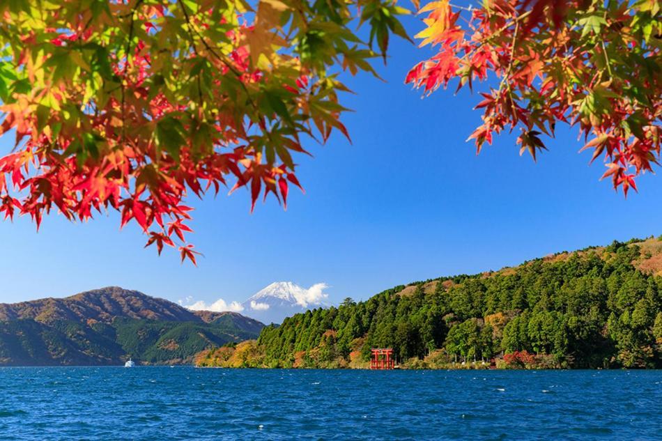 New Open『天然温泉』芦ノ湖畔の完全貸切別荘 Hakone Esterno foto